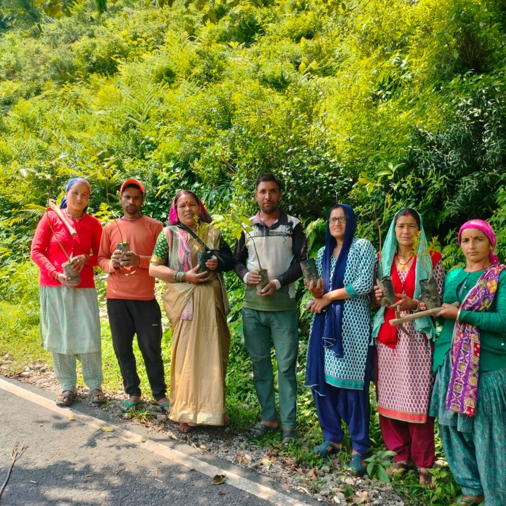 harela uttrakhand