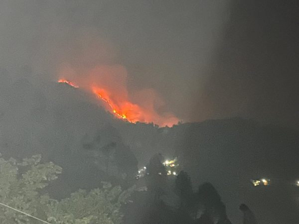 forest fire